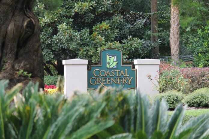 Best Florida Landscaping Services