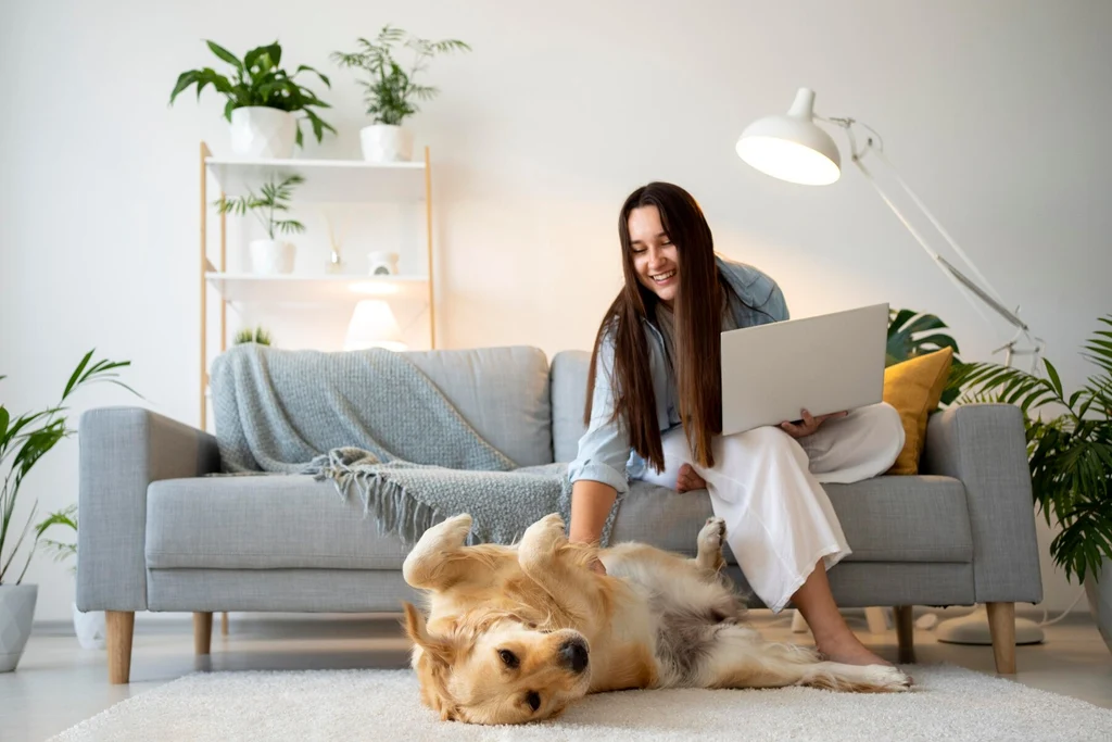 Pet Hair Problems: Clear Furniture Without Constant Vacuuming